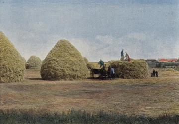 Die Weizenhaufen in Manitoba